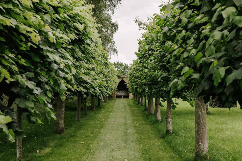 Cressy Hall - Historic Grade II Listed Manor, Gorgeous Topiary Garden Gosberton Экстерьер фото